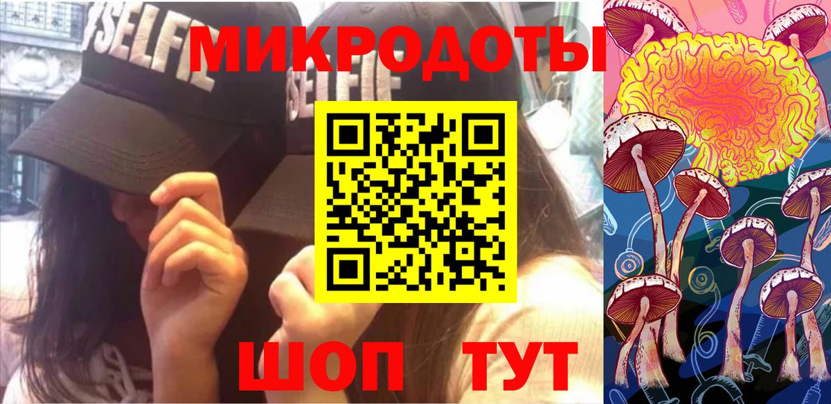 Галлюциногенные грибы Psilocybine cubensis Новотроицк